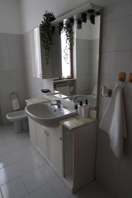 Casa Rene: Appartamento In Franciacorta Castegnato Esterno foto
